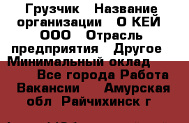 Грузчик › Название организации ­ О’КЕЙ, ООО › Отрасль предприятия ­ Другое › Минимальный оклад ­ 25 533 - Все города Работа » Вакансии   . Амурская обл.,Райчихинск г.